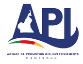 API Cameroon, home page